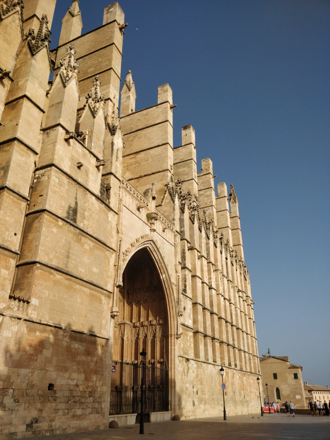 Cathedral of Palma