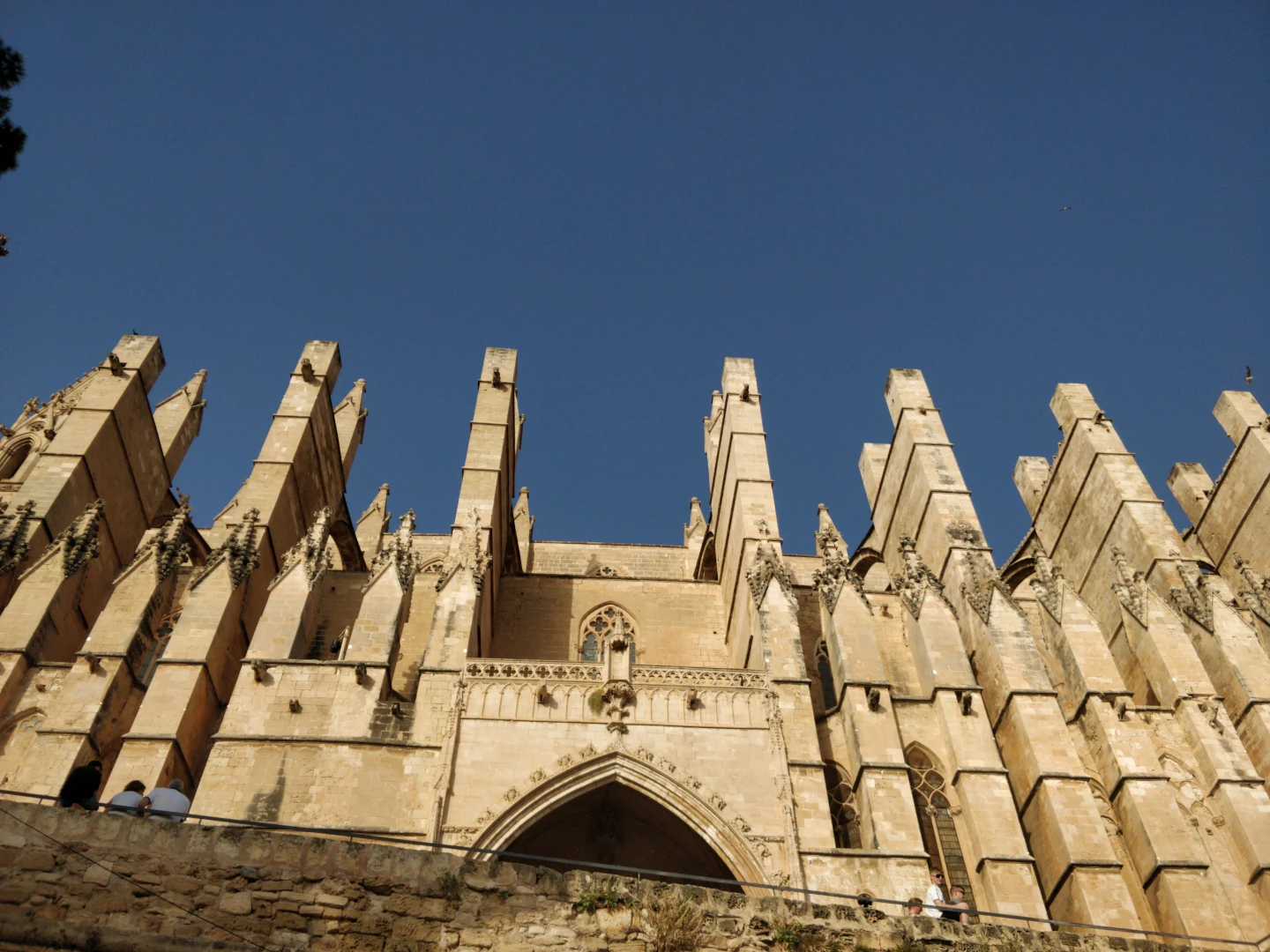 Cathedral of Palma